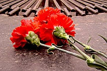 Я помню! Я горжусь!