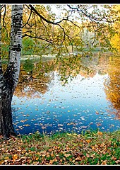 Золотая осень