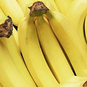 Человечеству придется перейти на бананы 