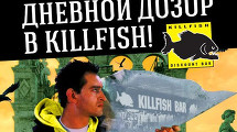 Дневной дозор в KILLFISH!