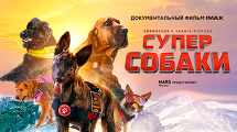«СУПЕРСОБАКИ» в формате IMAX